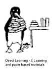 Direct Learning Logo